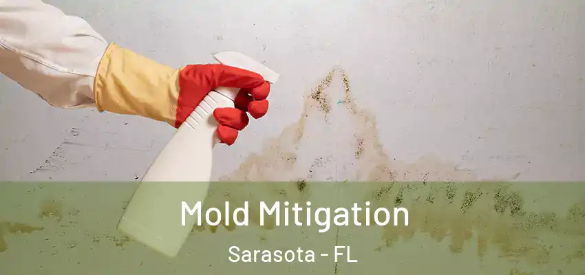  Mold Mitigation Sarasota - FL