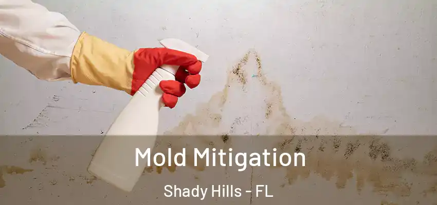  Mold Mitigation Shady Hills - FL