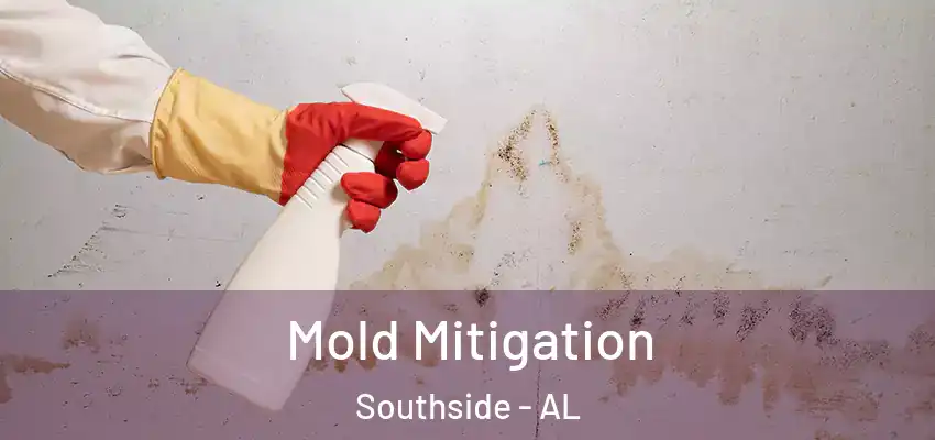  Mold Mitigation Southside - AL