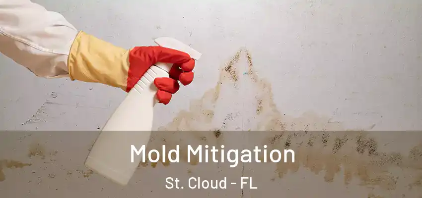  Mold Mitigation St. Cloud - FL