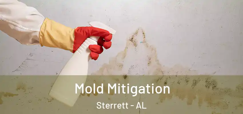  Mold Mitigation Sterrett - AL