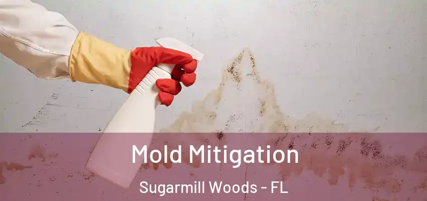  Mold Mitigation Sugarmill Woods - FL