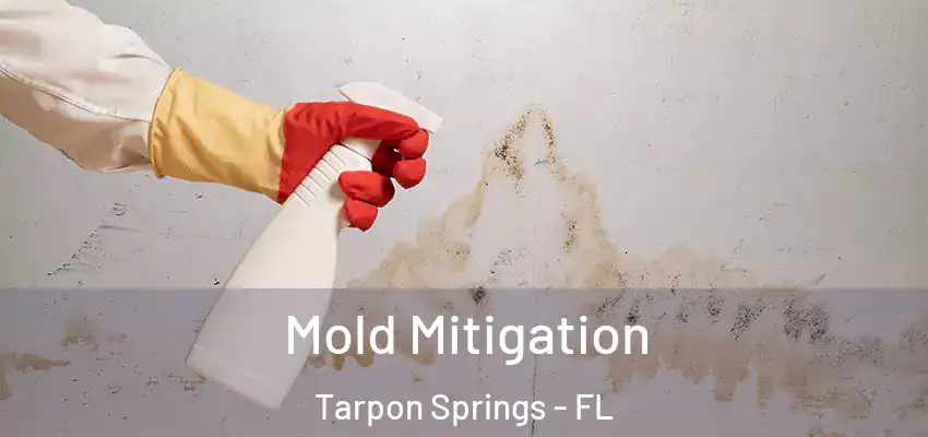 Mold Mitigation Tarpon Springs - FL