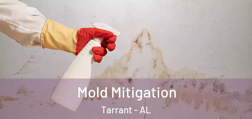  Mold Mitigation Tarrant - AL