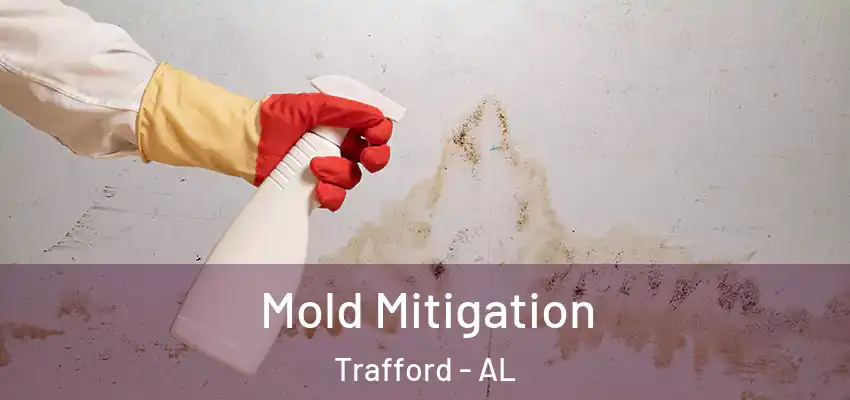  Mold Mitigation Trafford - AL