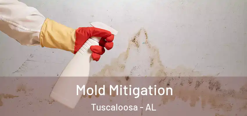 Mold Mitigation Tuscaloosa - AL