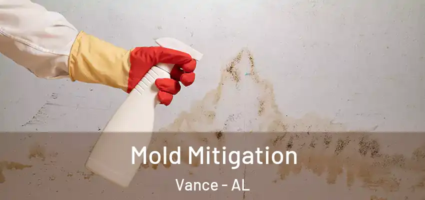 Mold Mitigation Vance - AL