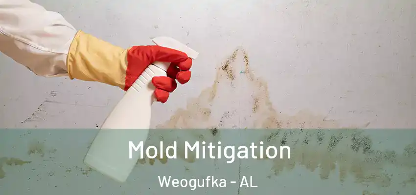  Mold Mitigation Weogufka - AL