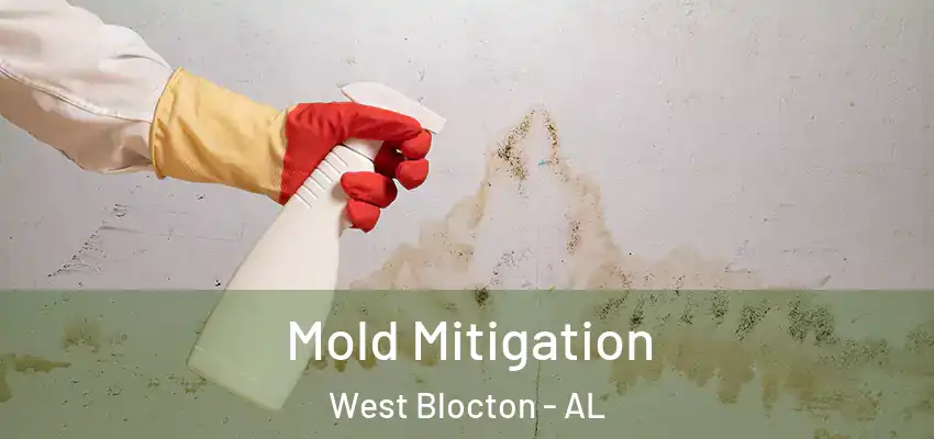 Mold Mitigation West Blocton - AL