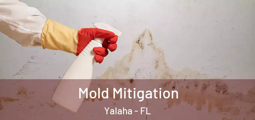 Mold Mitigation Yalaha - FL