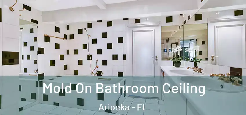  Mold On Bathroom Ceiling Aripeka - FL
