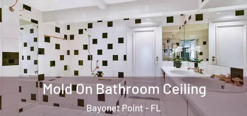  Mold On Bathroom Ceiling Bayonet Point - FL