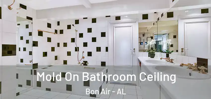 Mold On Bathroom Ceiling Bon Air - AL