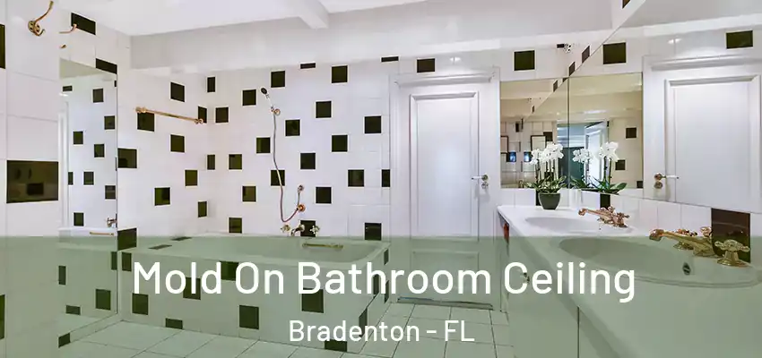 Mold On Bathroom Ceiling Bradenton - FL