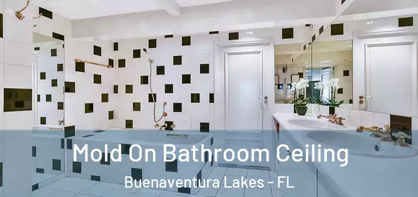  Mold On Bathroom Ceiling Buenaventura Lakes - FL