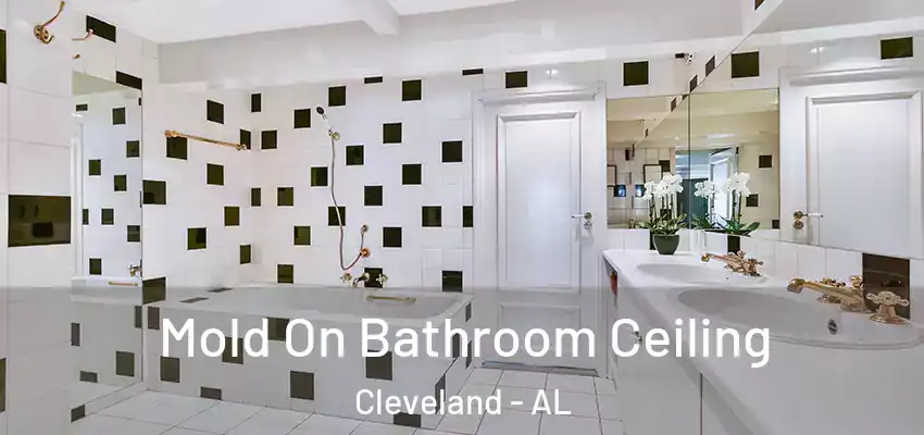 Mold On Bathroom Ceiling Cleveland - AL