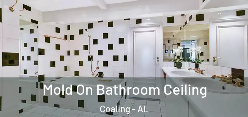 Mold On Bathroom Ceiling Coaling - AL