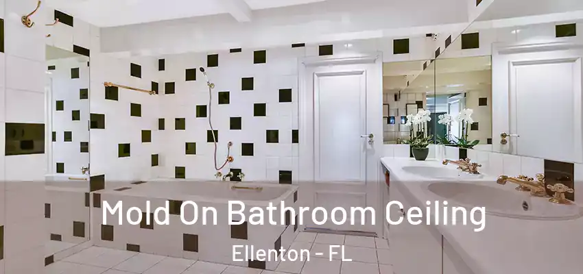 Mold On Bathroom Ceiling Ellenton - FL