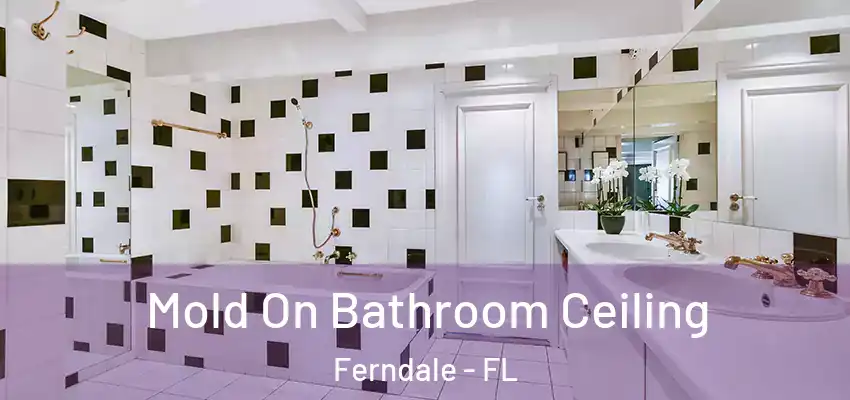  Mold On Bathroom Ceiling Ferndale - FL