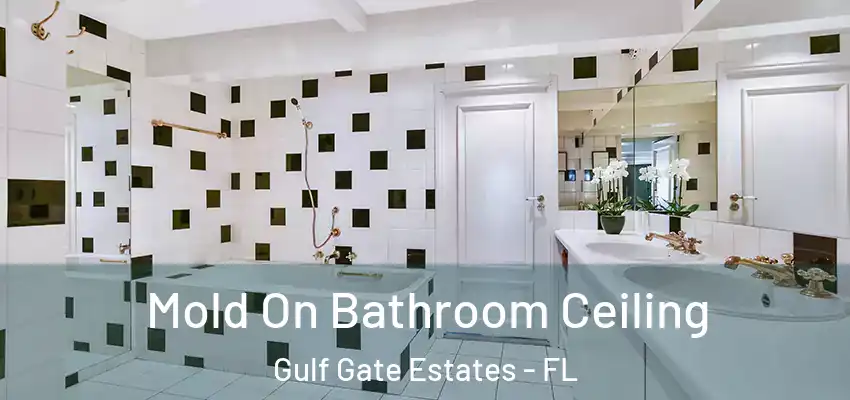 Mold On Bathroom Ceiling Gulf Gate Estates - FL