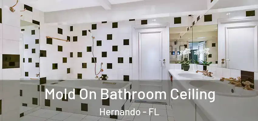 Mold On Bathroom Ceiling Hernando - FL