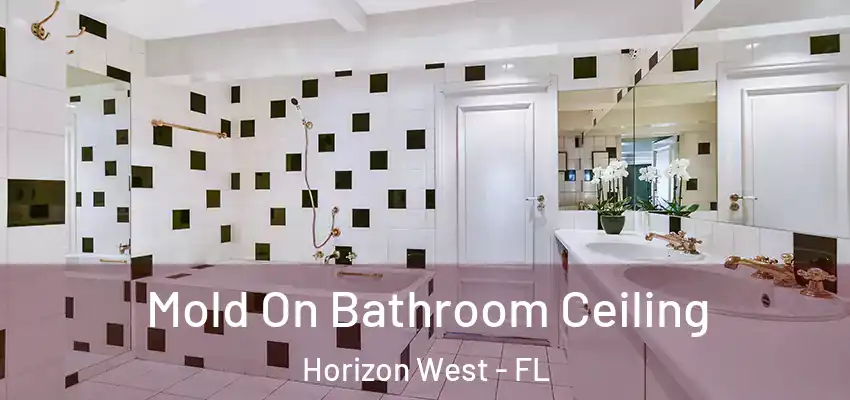 Mold On Bathroom Ceiling Horizon West - FL