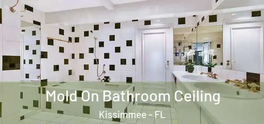Mold On Bathroom Ceiling Kissimmee - FL