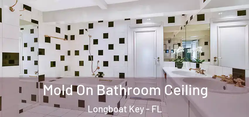 Mold On Bathroom Ceiling Longboat Key - FL