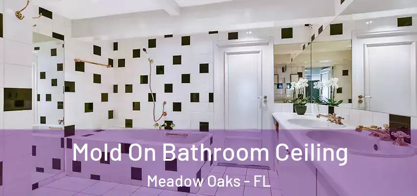 Mold On Bathroom Ceiling Meadow Oaks - FL