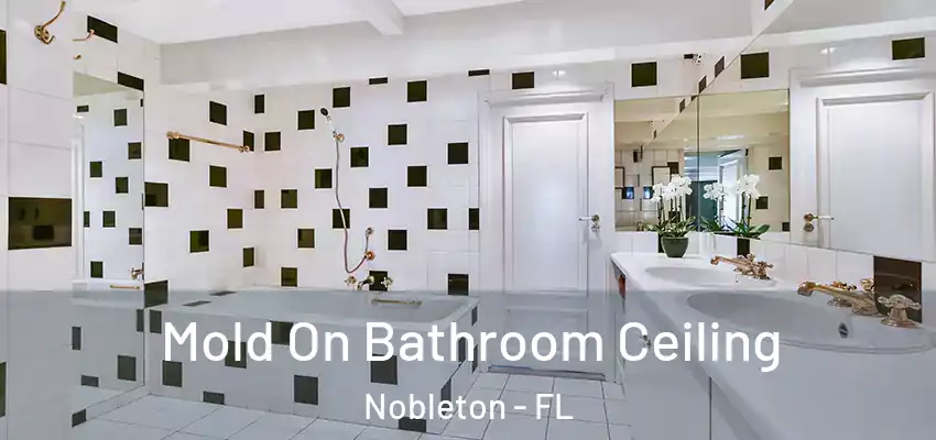 Mold On Bathroom Ceiling Nobleton - FL