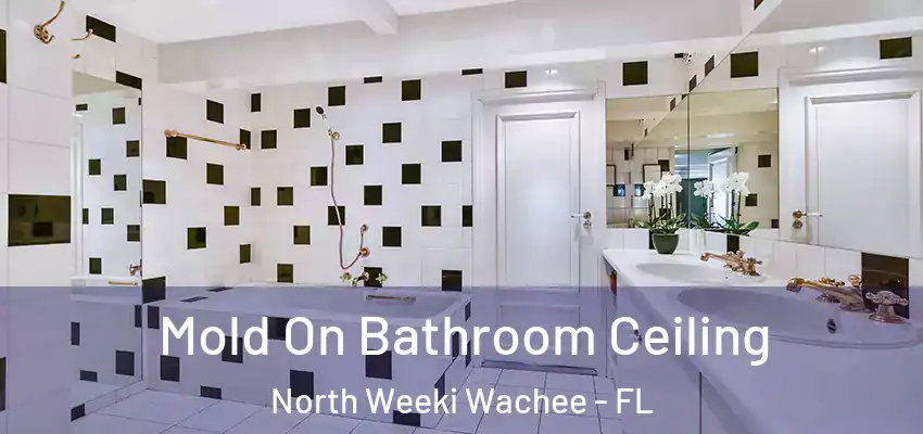  Mold On Bathroom Ceiling North Weeki Wachee - FL