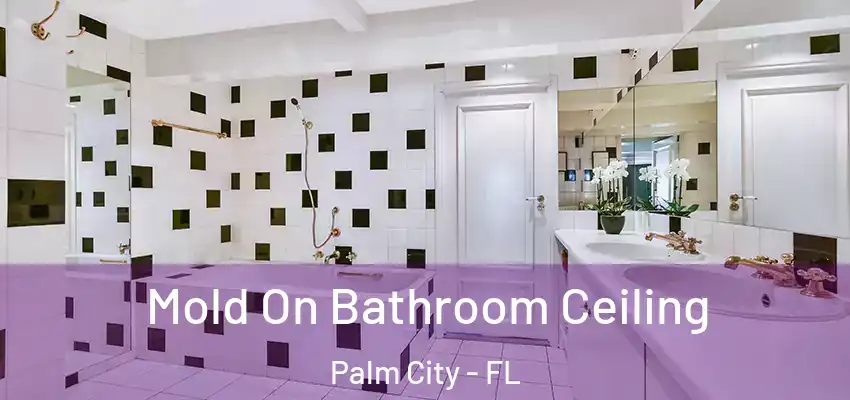 Mold On Bathroom Ceiling Palm City - FL