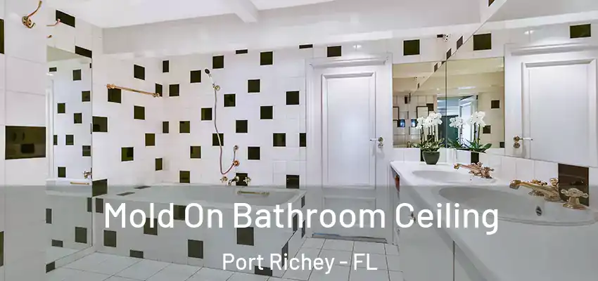  Mold On Bathroom Ceiling Port Richey - FL