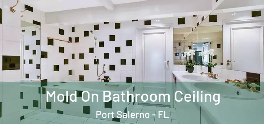 Mold On Bathroom Ceiling Port Salerno - FL