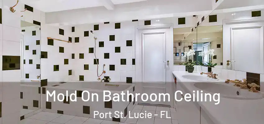  Mold On Bathroom Ceiling Port St. Lucie - FL