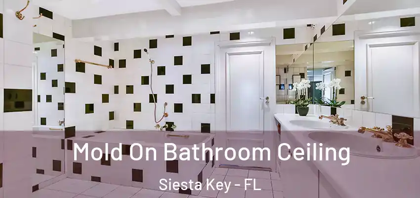 Mold On Bathroom Ceiling Siesta Key - FL