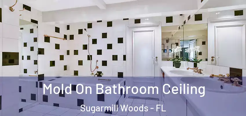 Mold On Bathroom Ceiling Sugarmill Woods - FL