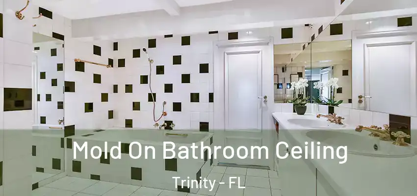  Mold On Bathroom Ceiling Trinity - FL