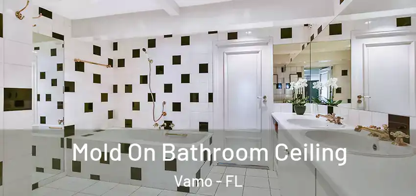 Mold On Bathroom Ceiling Vamo - FL