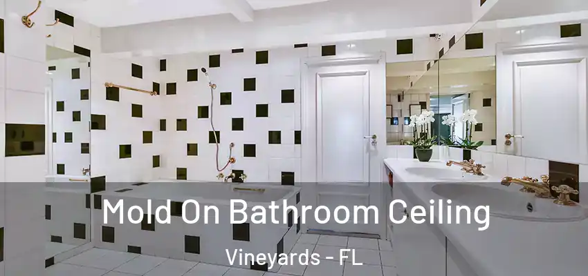 Mold On Bathroom Ceiling Vineyards - FL
