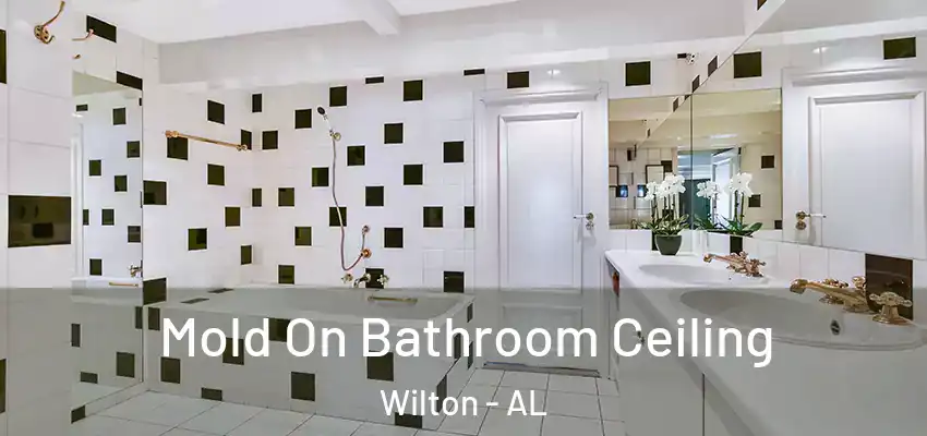 Mold On Bathroom Ceiling Wilton - AL