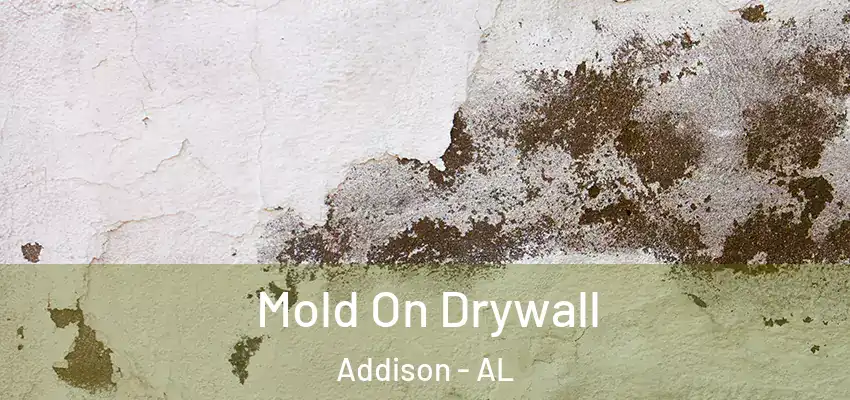 Mold On Drywall Addison - AL