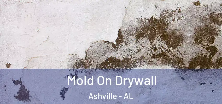  Mold On Drywall Ashville - AL