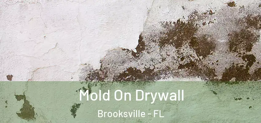 Mold On Drywall Brooksville - FL