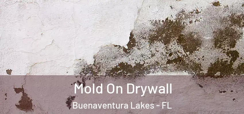 Mold On Drywall Buenaventura Lakes - FL