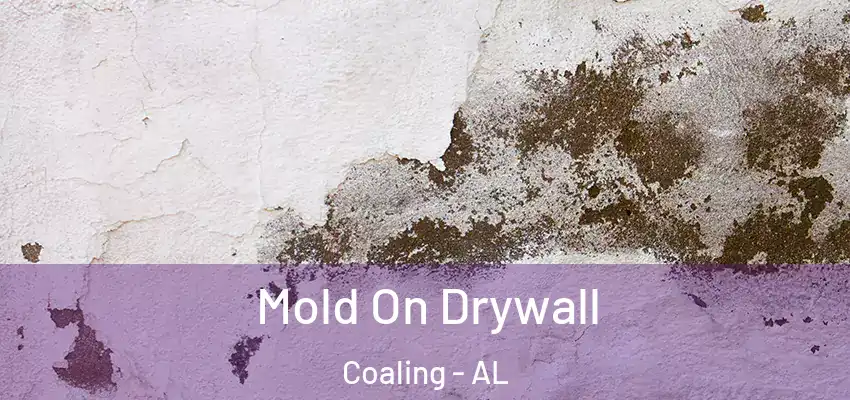 Mold On Drywall Coaling - AL