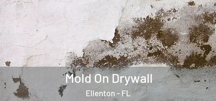 Mold On Drywall Ellenton - FL