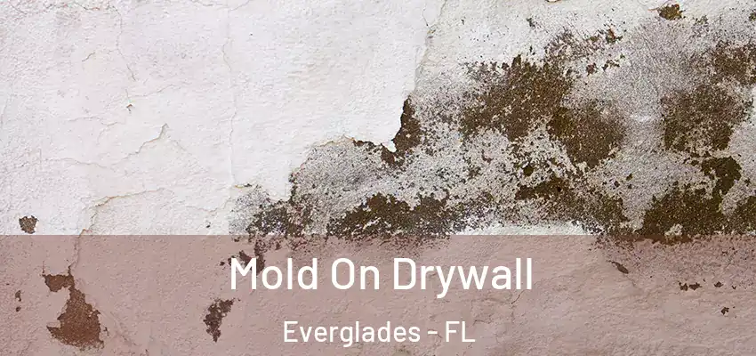Mold On Drywall Everglades - FL