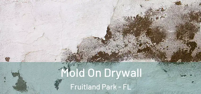  Mold On Drywall Fruitland Park - FL