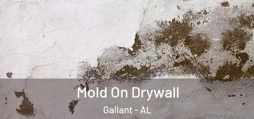Mold On Drywall Gallant - AL